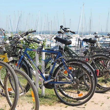 Gartenlounge Glueckspilz Ofc 27 Kuehlungsborn